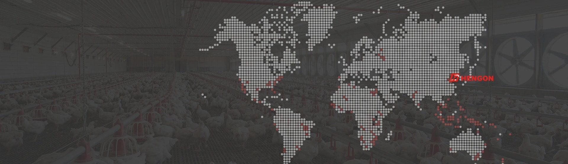 20+ COUNTRIES & REGIONS