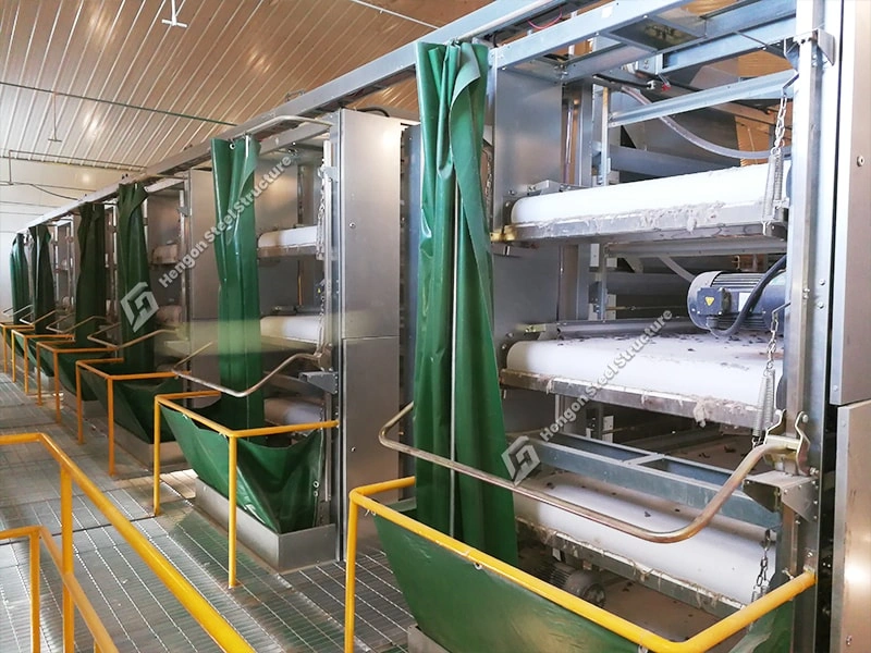 Manure Removal System