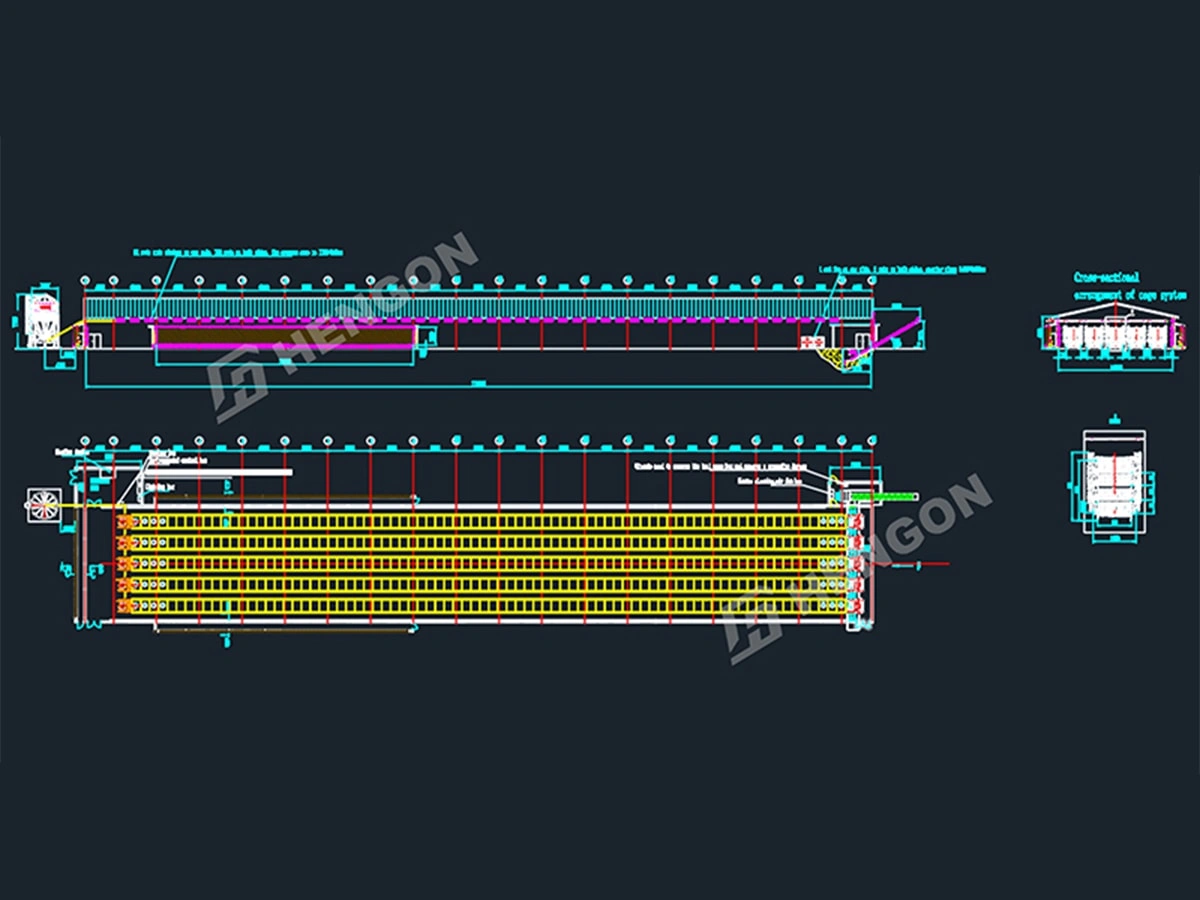 Philippines-Broiler in cages 