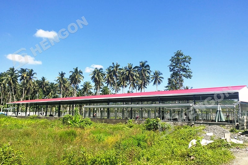 Philippine Broiler in cages