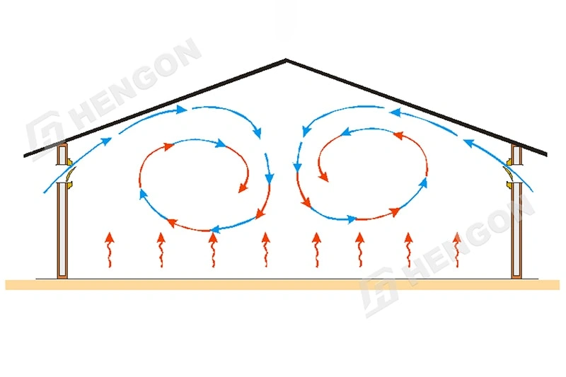 Five Key Factors for Building a Modern, Efficient Poultry House Five Key Factors for Building a Modern, Efficient Poultry House