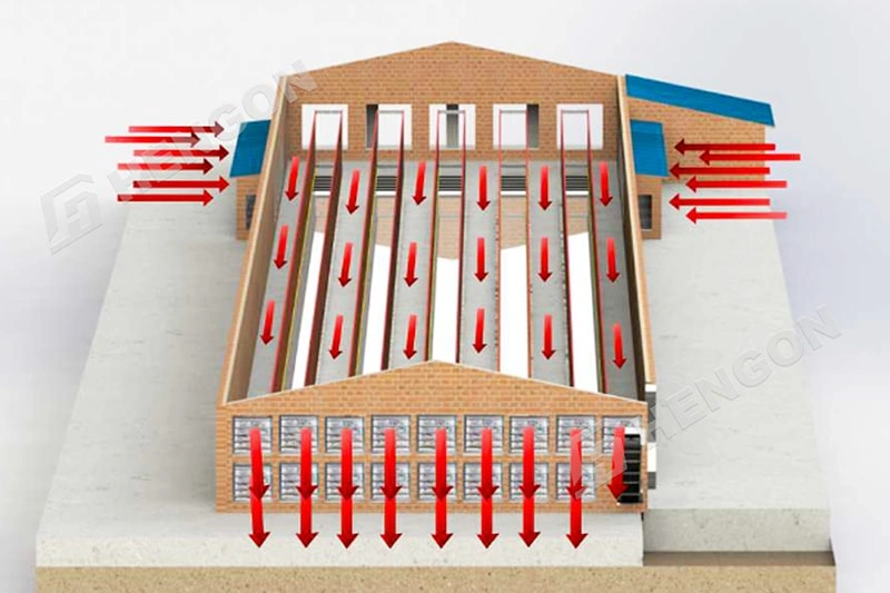 Five Key Factors for Building a Modern, Efficient Poultry House Five Key Factors for Building a Modern, Efficient Poultry House