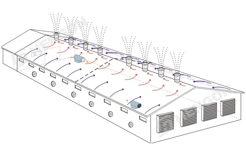 Five Key Factors for Building a Modern, Efficient Poultry House Five Key Factors for Building a Modern, Efficient Poultry House