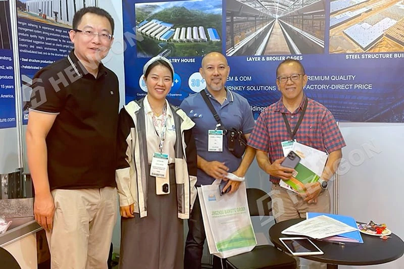 Philippines - Layer Chicken Cages Philippines - Layer Chicken Cages