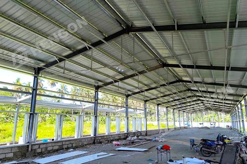 Philippines - Layer Chicken Cages Philippines - Layer Chicken Cages