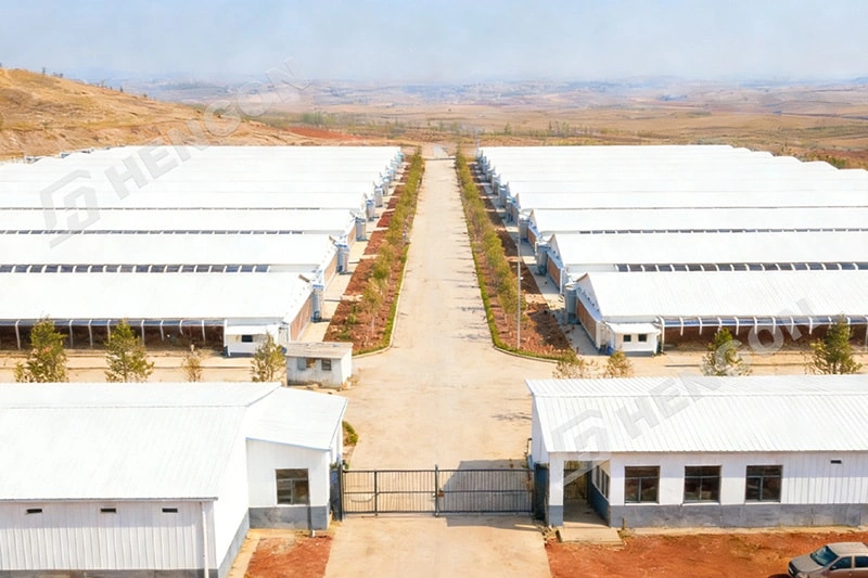 Moisture Control in Poultry Buildings: Why Vapor Barriers Matter