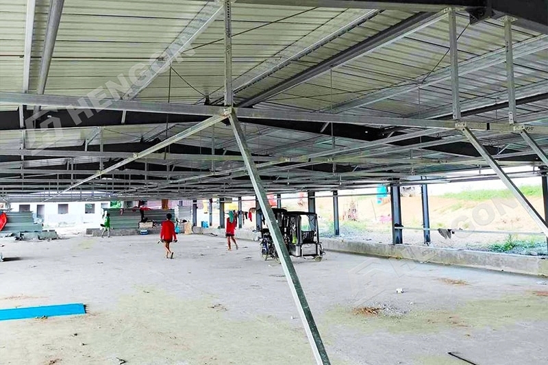 Philippines - Broiler on ground